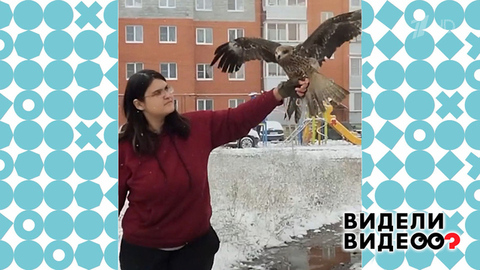 Спасительница птиц. Видели видео? Фрагмент