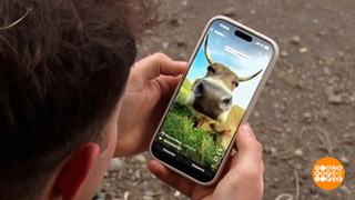 Корова, иди на съемку! Доброе утро. Фрагмент