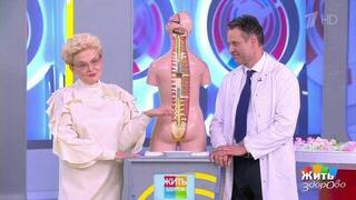 Путешествие в царство Морфея: что происходит под наркозом? Жить здорово! Фрагмент