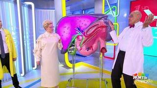 Сколько времени у вас в животе? Боль на девять и на три часа — что это значит? Жить здорово! Фрагмент