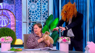 Были бы у всех Жужи: жених шоу «Давай поженимся!» «прочел мысли» Ларисы Гузеевой