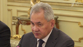 Строительство АЭС и создание российской промышленной зоны обсудили на переговорах Шойгу в Египте