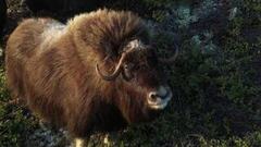 Магаданская область. Поехали! Анонс