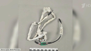 ФСБ обезвредила преступников, которые готовили взрыв на Троекуровском кладбище