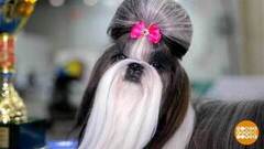 «Евразия 2025»: будет сплошное ми-ми-ми! Доброе утро. Суббота. Фрагмент