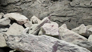 Динозавров еще не было: в Центре истории метро СПб показали глину, найденную при стройке