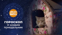 Гороскоп на 17 ноября. Доброе утро. Фрагмент