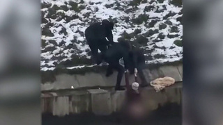 В Санкт-Петербурге спасли из ледяной воды маму с ребенком