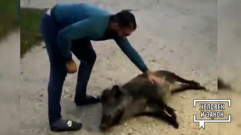 Видео недели. На Камчатке. Человек и закон. Фрагмент