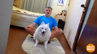 С утра пораньше — заряжаемся энергией! Доброе утро. Фрагмент