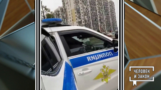 Видео недели: дети в полиции; дискотека для попугая. Человек и закон. Фрагмент