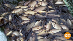 Есть мунха — будет и уха! Доброе утро. Фрагмент