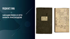 «Дмитрий Менделеев считал каждую копейку»: как великий химик вел учет 40 лет. Легкие деньги. Фрагмент