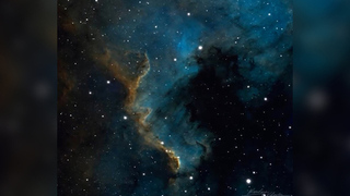 «Стена в Лебеде»: Роскосмос с помощью GigaСhat показал кадры звездообразования