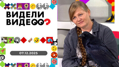 Пудель на сноускейте; ворон-говорун; незваный гость. Видели видео?