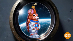 Поймай свою новогоднюю белочку! Доброе утро. Фрагмент