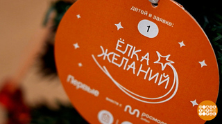 «Елка желаний»: каждый может стать новогодним волшебником! Доброе утро. Фрагмент