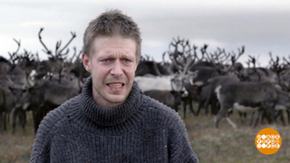 Это кино. Доброе утро. Фрагмент