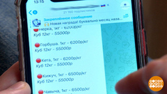 Как мошенники «красную икру продают». Доброе утро. Фрагмент