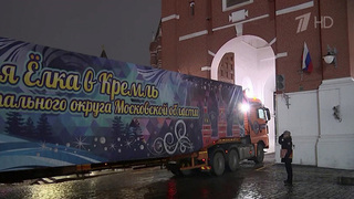 В Кремль доставили главную елку страны