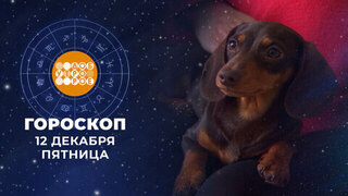 Гороскоп на 12 декабря. Доброе утро. Фрагмент