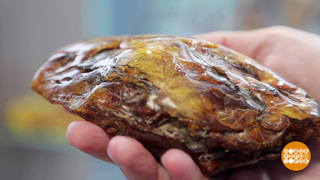 Янтарь, я тебя узнал! Доброе утро. Суббота. Фрагмент