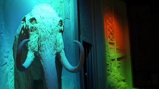 В Национальном центре «Россия» открылась выставка-приключение «Книга сказок»