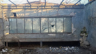 Дроны ВСУ атаковали зоопарк в Запорожской области: кадры последствий