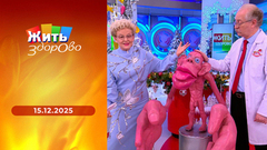 Конный спорт и здоровье; галоп в сердце; новогодние украшения своими руками; мурманский салат. Жить здорово!