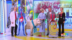 Каков всадник — такова и лошадь: конный спорт с точки зрения тела и разума. Жить здорово! Фрагмент