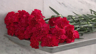 В России отмечают День памяти журналистов, погибших при исполнении профессиональных обязанностей