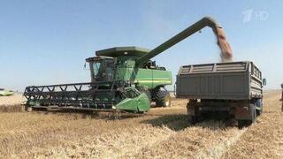 Продовольственную безопасность и развитие сельского хозяйства обсуждали в правительстве