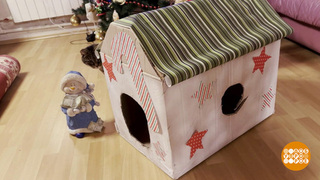 Вторая жизнь упаковочной бумаги. Фрагмент