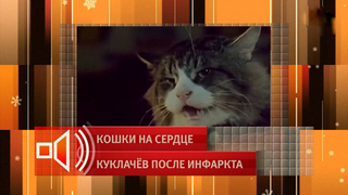 Появилась «звезда»: в «Пусть говорят» рассказали о первой кошке Юрия Куклачева