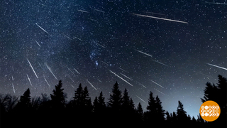 Новый год — время смотреть на звезды. Доброе утро. Фрагмент