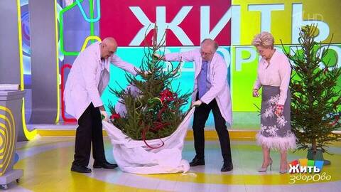 Уборка елки: удача по правилам. Жить здорово! Фрагмент