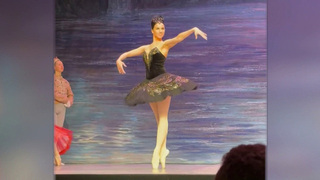 На Украине артистам балета грозит увольнение за исполнение «Лебединого озера»