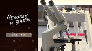 Феномен Юлии Тимошенко; жертвы телефонных аферистов; контроль качества «незамерзайки»; «советская Мата Хари». Человек и закон