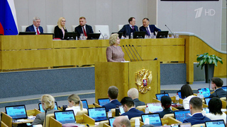 Уполномоченный по правам человека Татьяна Москалькова отчиталась перед депутатами