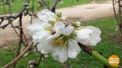 Климат, странный ты какой-то... Доброе утро. Фрагмент