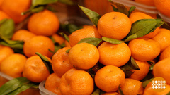 Где живут витамины? Доброе утро. Фрагмент