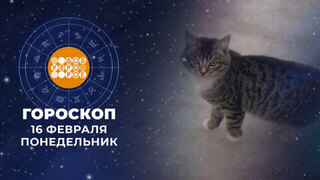 Гороскоп на 16 февраля. Доброе утро. Фрагмент
