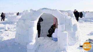 Что нам стоит дом построить! Из снега. Доброе утро. Фрагмент