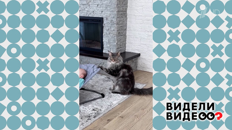 Усатый нянь. Видели видео? Фрагмент