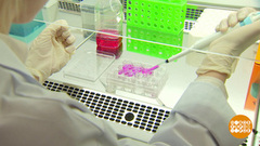 Биотехнологии: будущее – уже сегодня! Доброе утро. Фрагмент