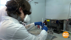 Будем химичить! Доброе утро. Фрагмент