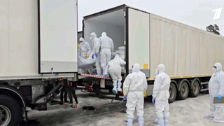 Россия и Украина провели обмен телами погибших военных