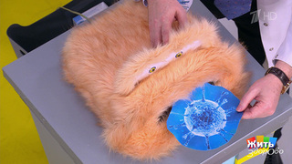 Щит и меч иммунитета: не ждите простуды — укрепляйте заранее. Жить здорово! Фрагмент