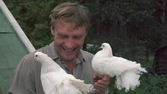 «Девушки, уймите вашу мать!» Любовь и голуби. Художественный фильм. Анонс