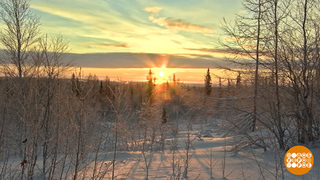 Ну где же ты, весна? Доброе утро. Фрагмент